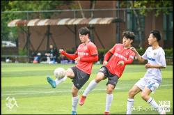 爱游戏体育 - 电视剧猎隼在线观看免费完整版 